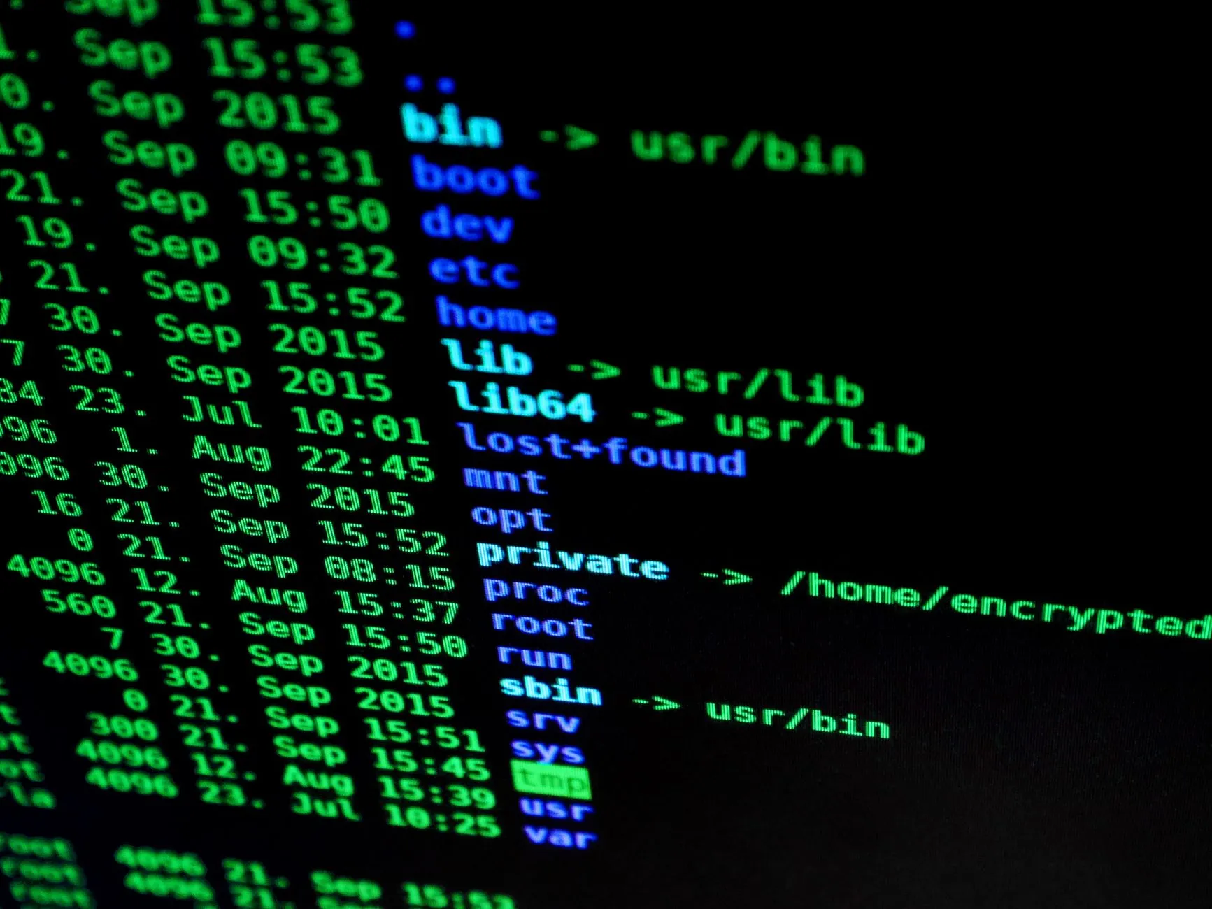Close-up of code on a computer screen used to illustrate a robots.txt file